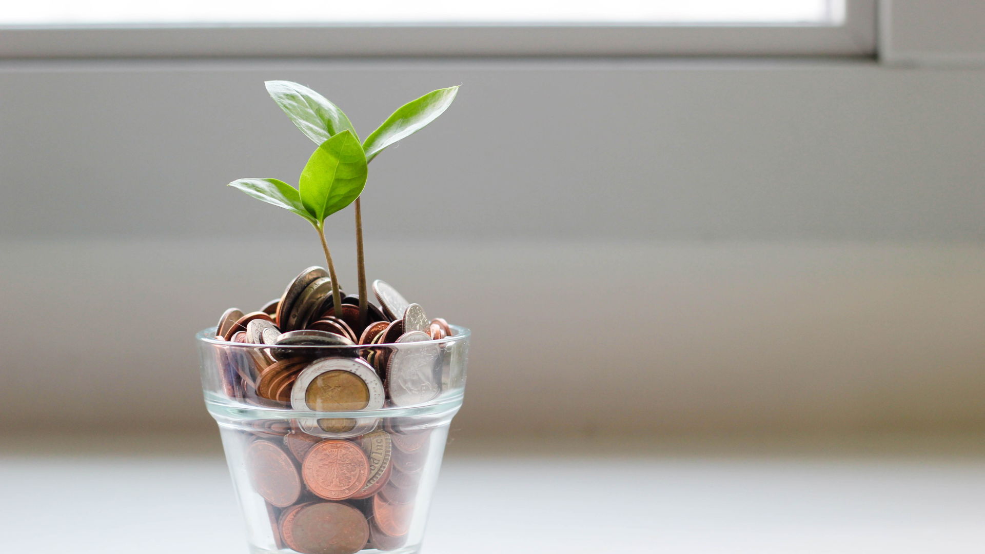 Financial Forecasting for Small Businesses: Why It Matters