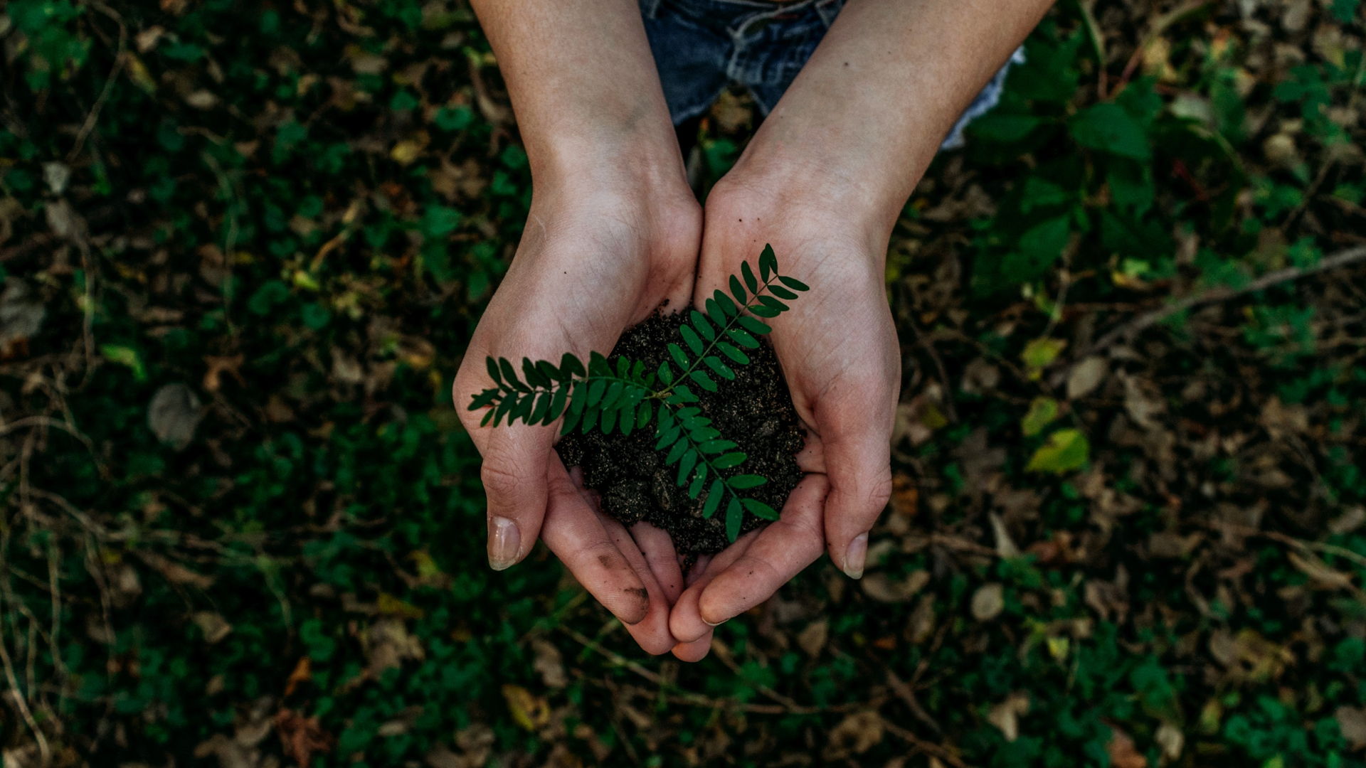 Eco-Friendly Expense Management: How to Reduce Your Company's Environmental Impact and Save Money